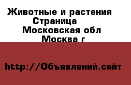 Животные и растения - Страница 94 . Московская обл.,Москва г.